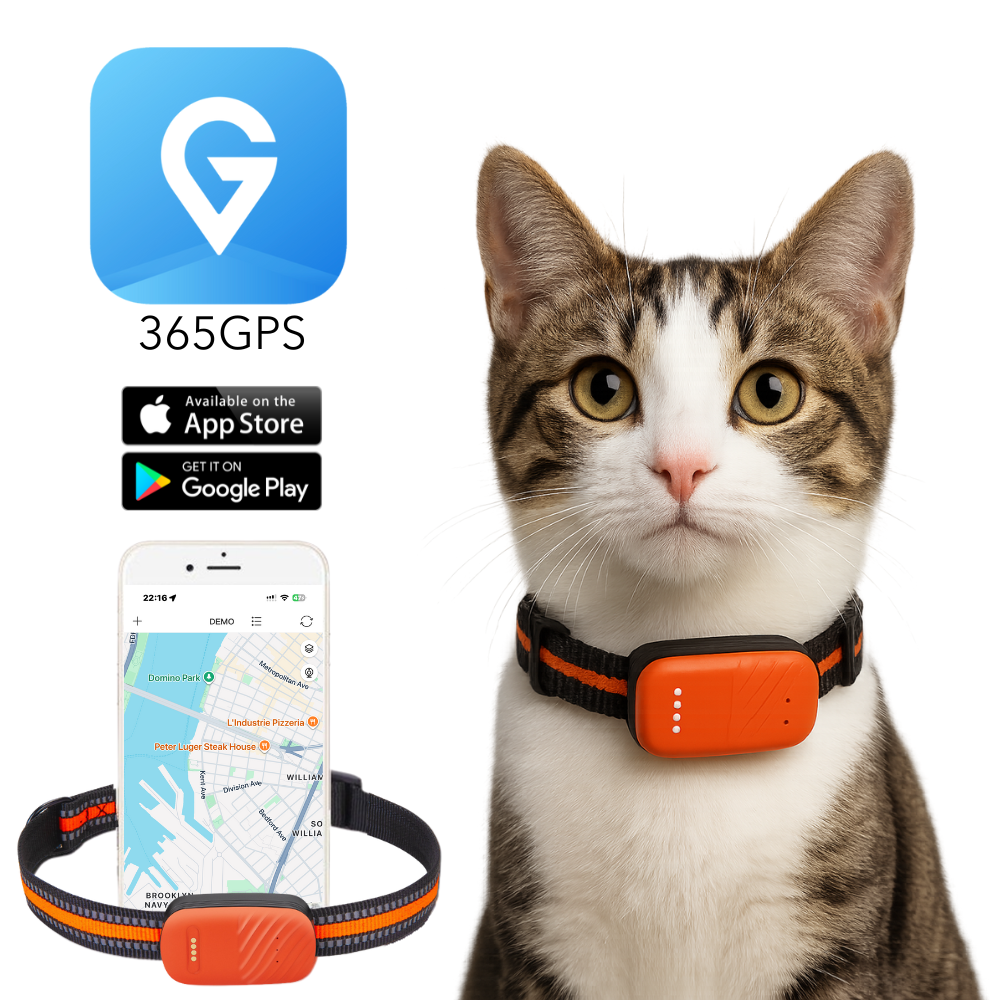 PawTrack™ Pro – Smart GPS Pet Tracker