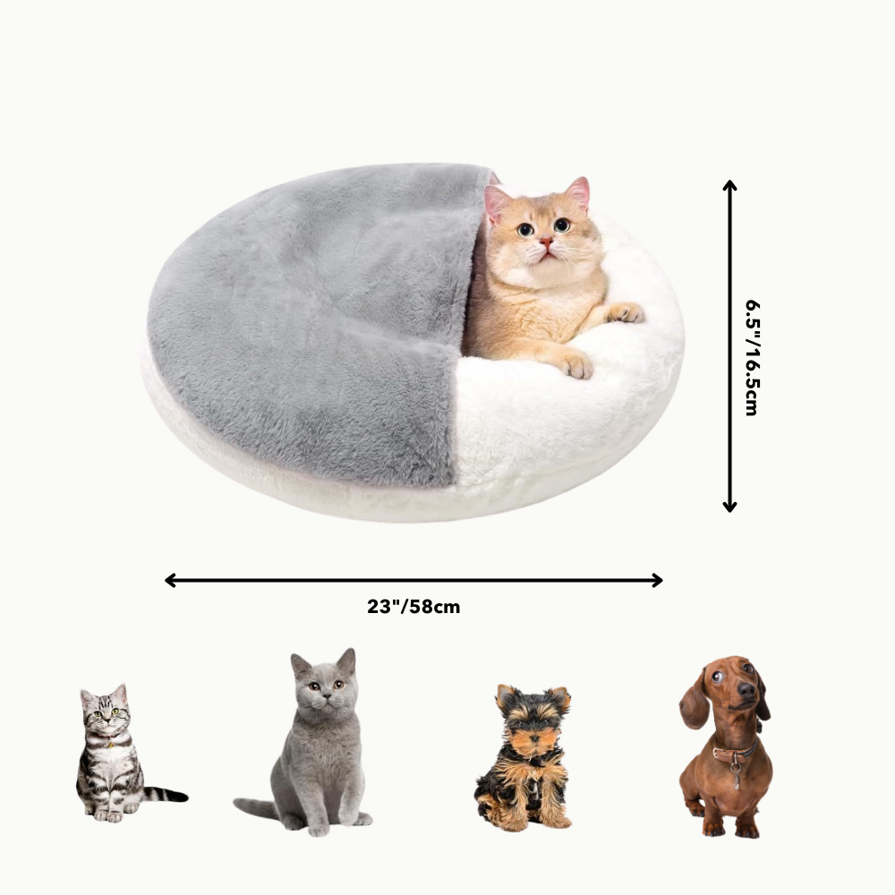PurrCove™ – Modern Cat Cave