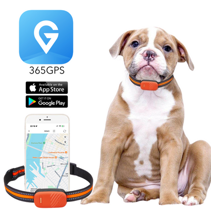 PawTrack™ Pro – Smart GPS Pet Tracker