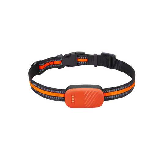 PawTrack™ Pro – Smart GPS Pet Tracker
