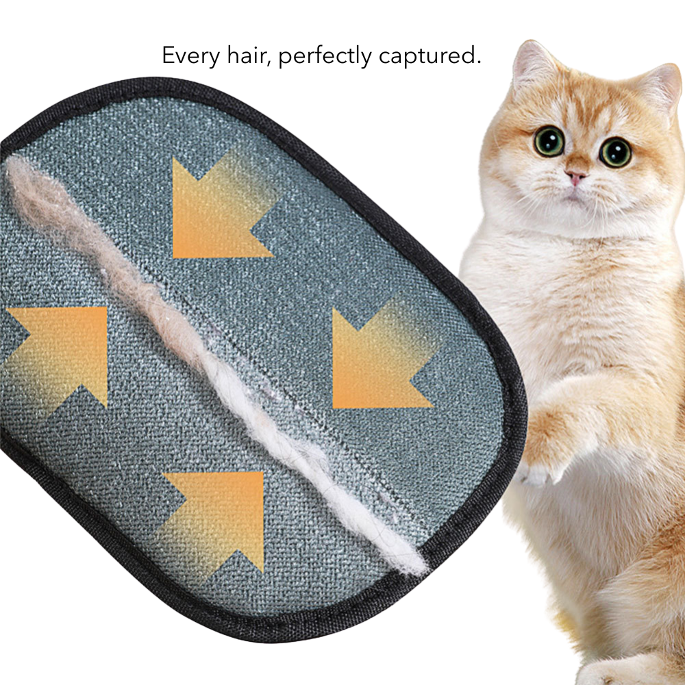 FurEase™ Pro – Gentle Grooming Glove